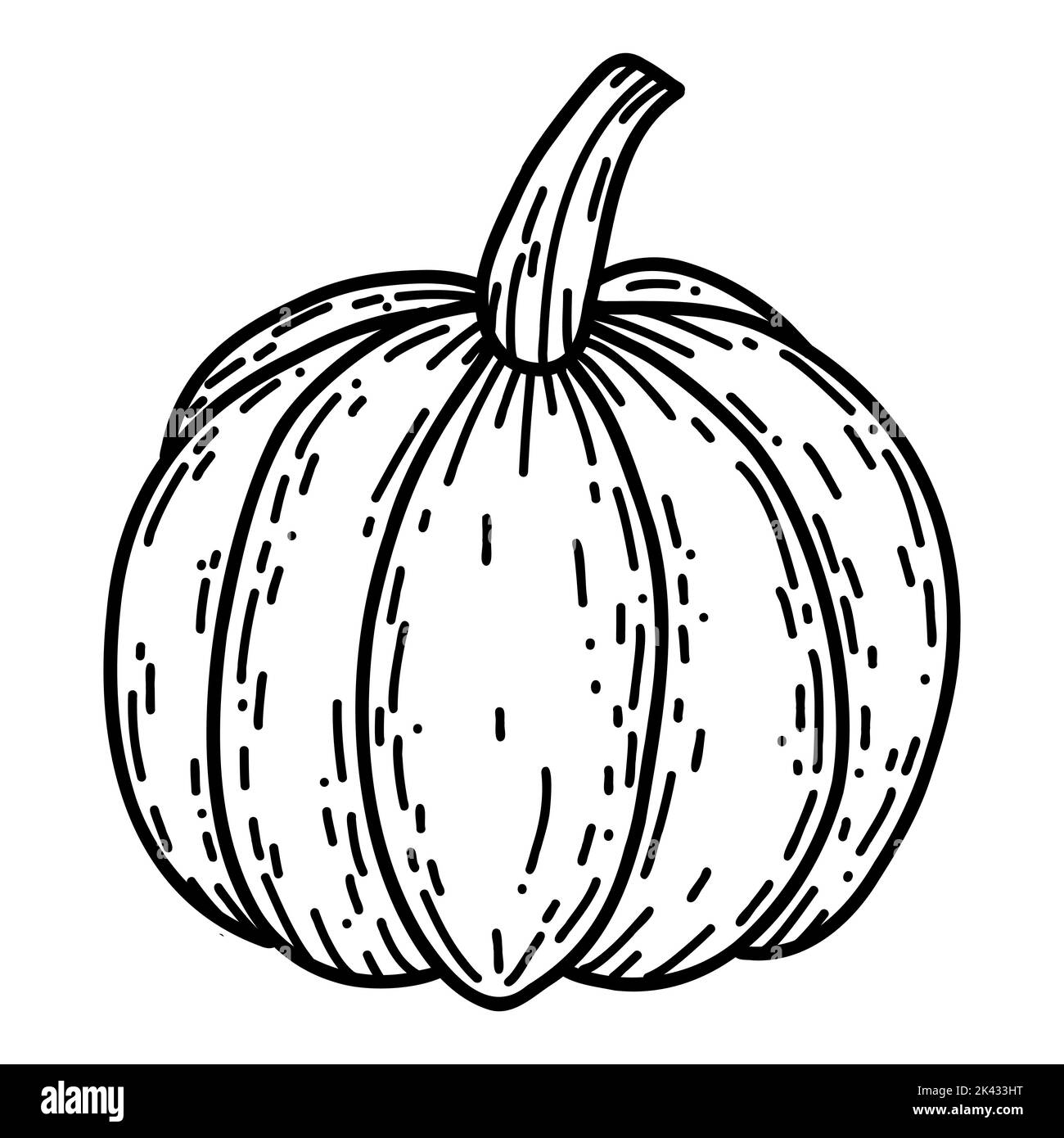 Pumpkin in hand drawn doodle style. Linear autumn vector illustration ...