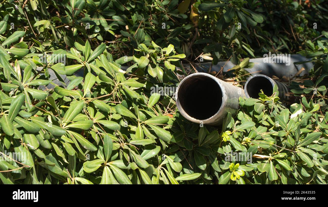 Pipes in bushes, nature and industry Stock Photo - Alamy