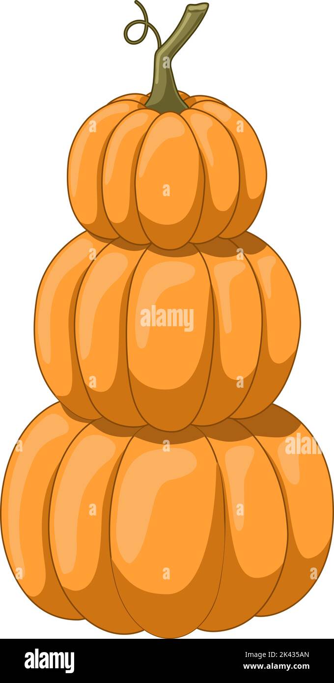 Stack of orange pumpkins vector illustration Stock Vector