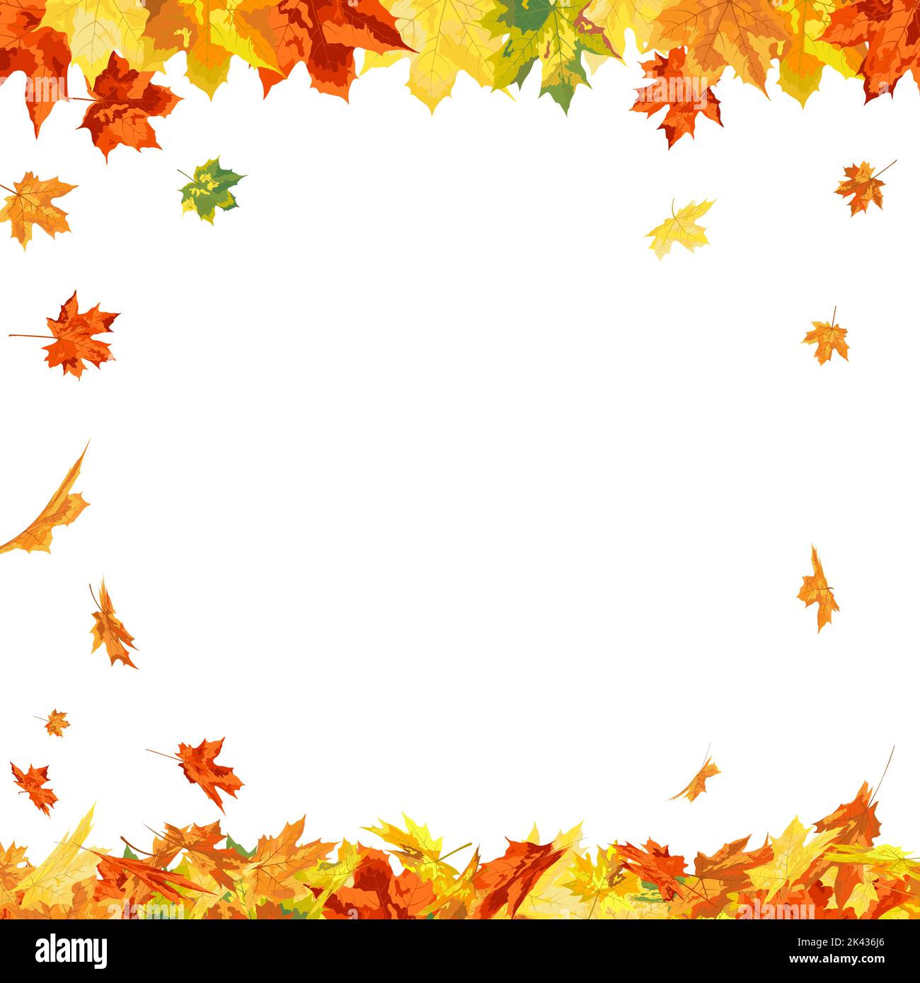 Autumn Frame With Blowing Maple Leaves Over White Background. Elegant ...