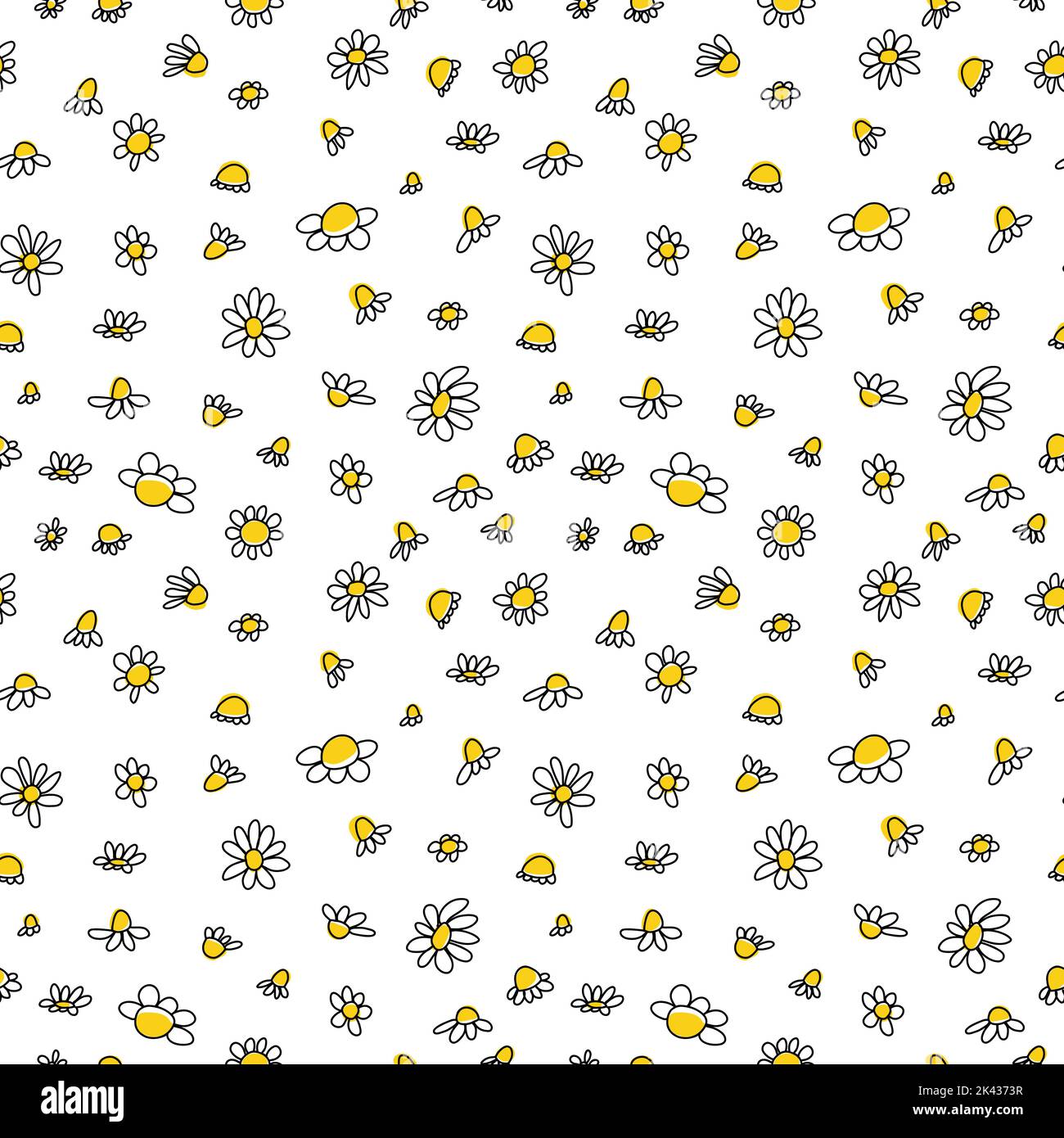 Seamless pattern with doodle black daisies on a white background ...