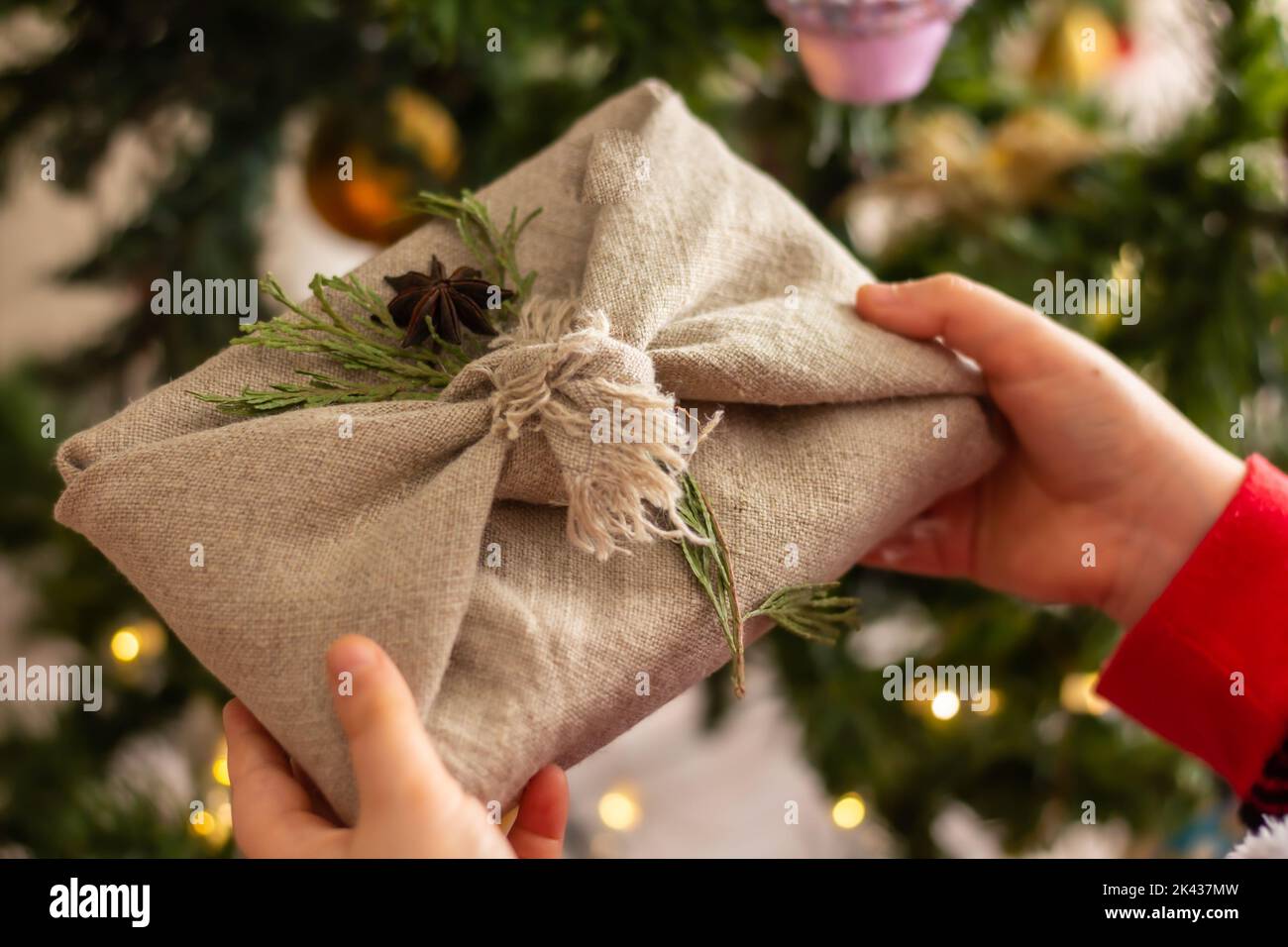 Christmas ecofriendly gift wrapping concept, zero waste