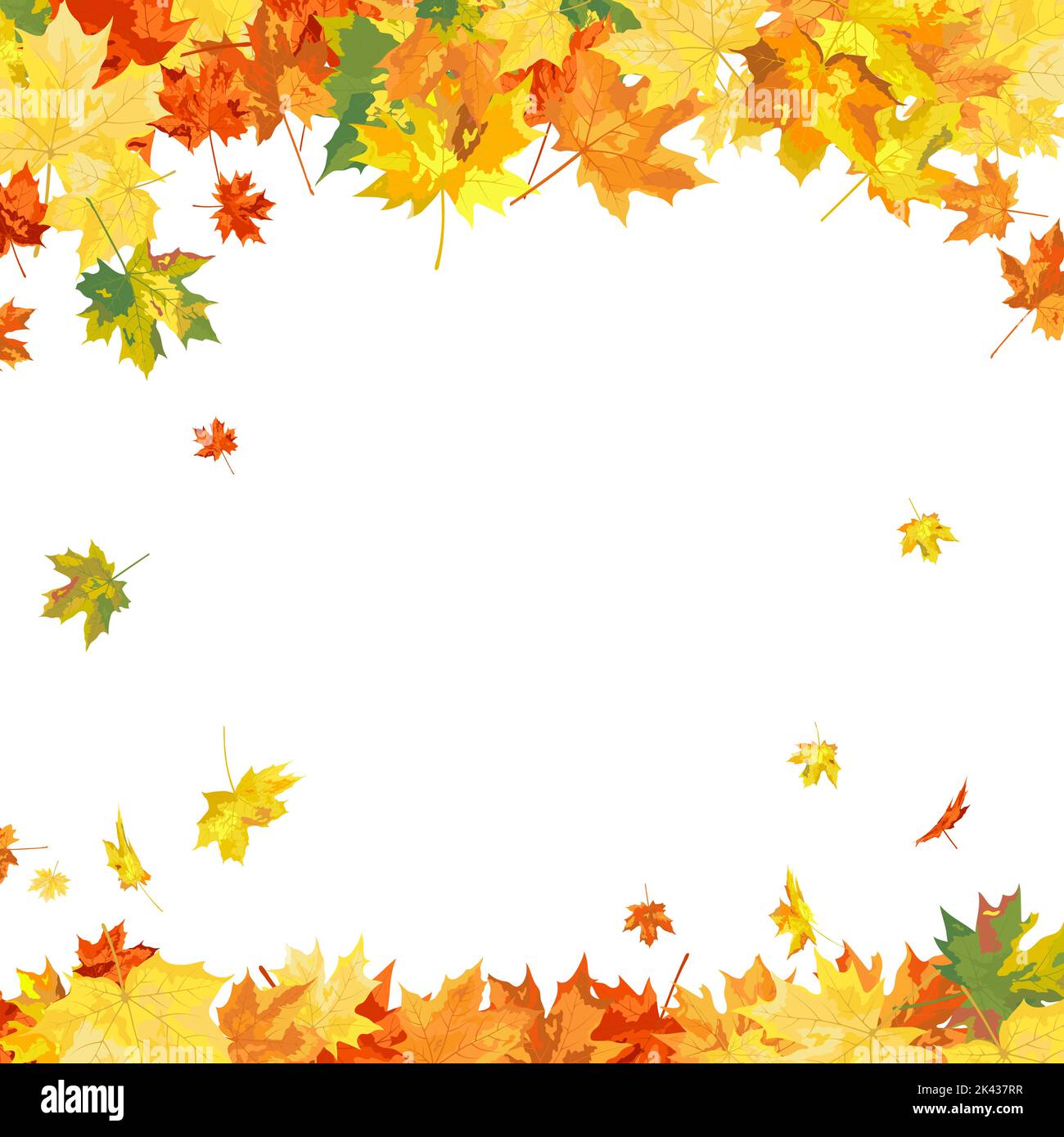 Autumn Frame With Blowing Maple Leaves Over White Background. Elegant ...