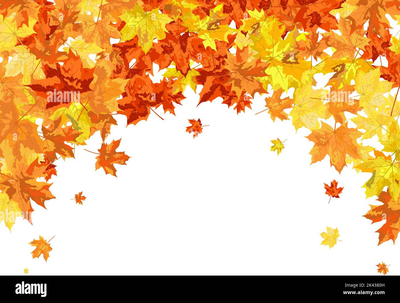 Autumn Frame With Blowing Maple Leaves Over White Background. Elegant ...