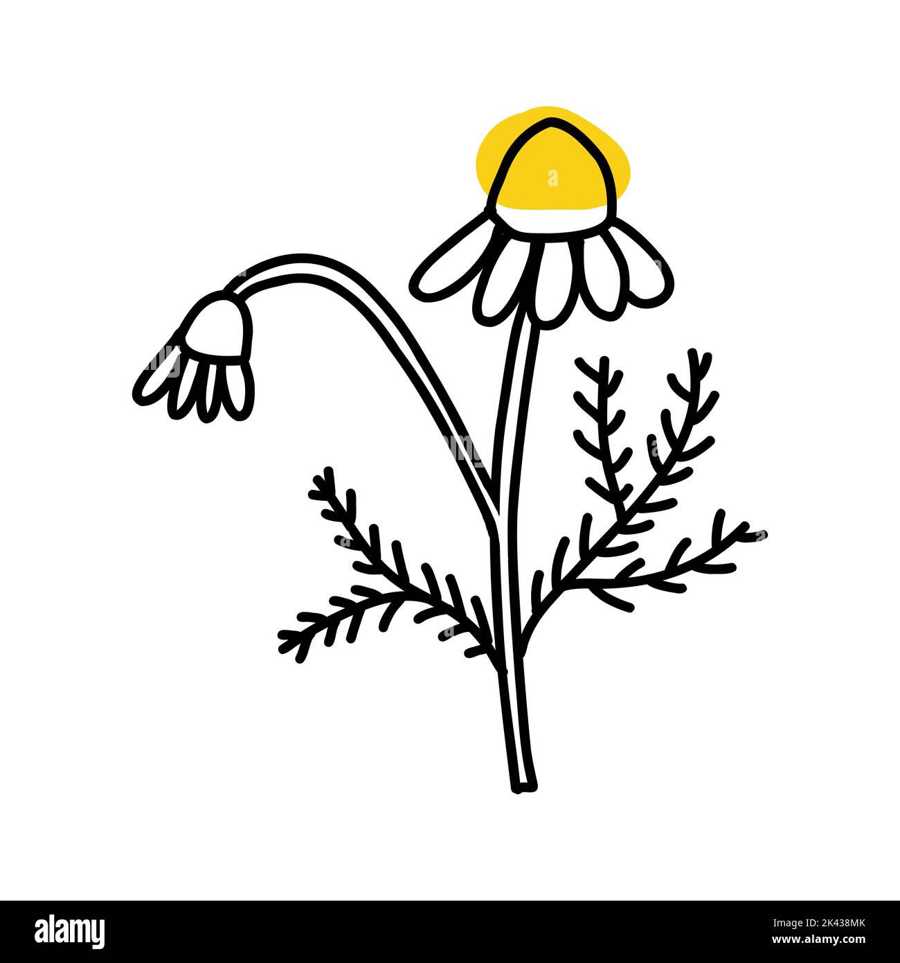 Daisy flower funny Stock Vector Images - Page 2 - Alamy