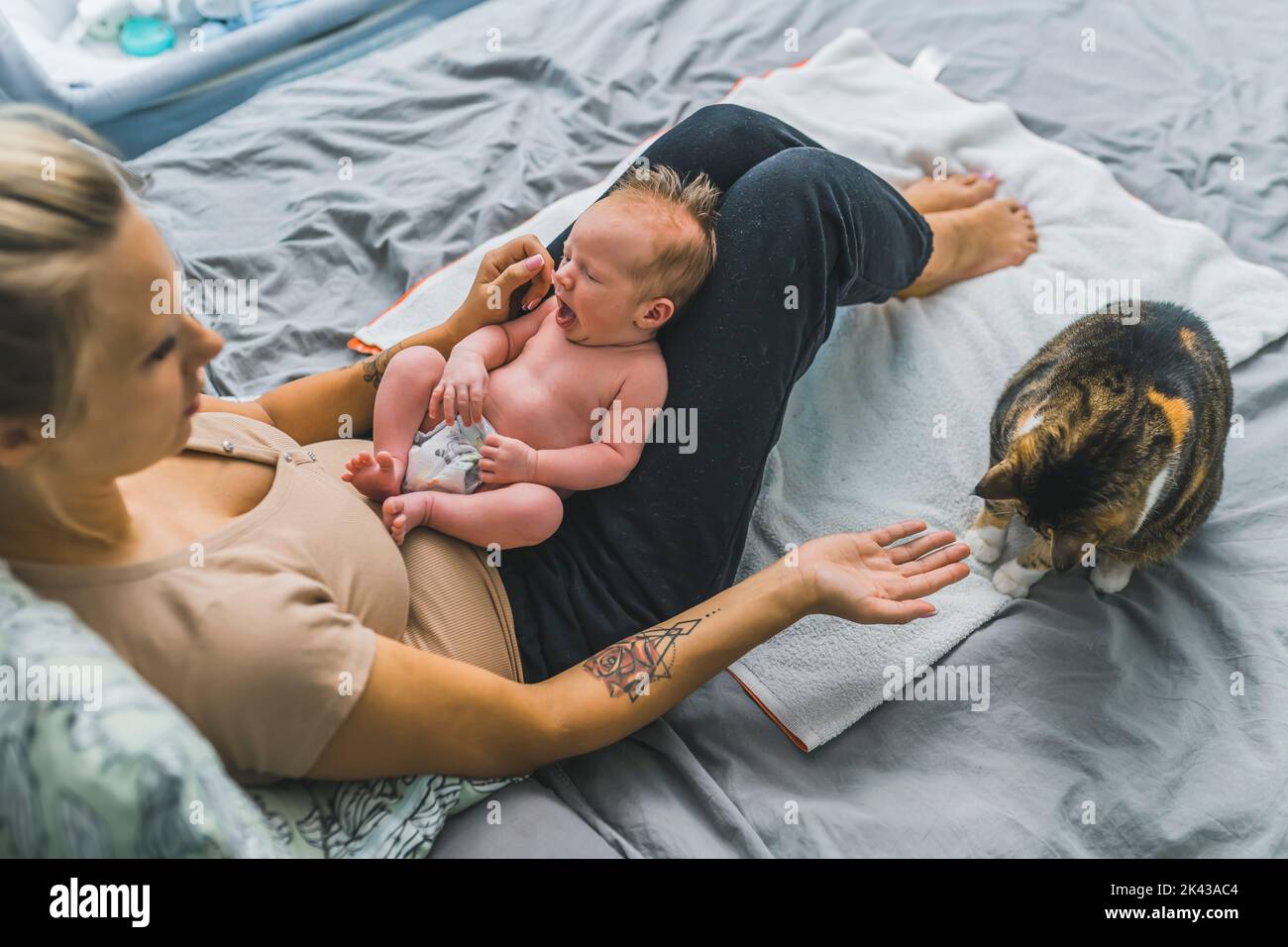Young mother holding her newborn son on her lap, who is wearing a diaper and yawning. Big multicolored cat sitting near them and a woman trying to pet him. High quality photo Stock Photo
