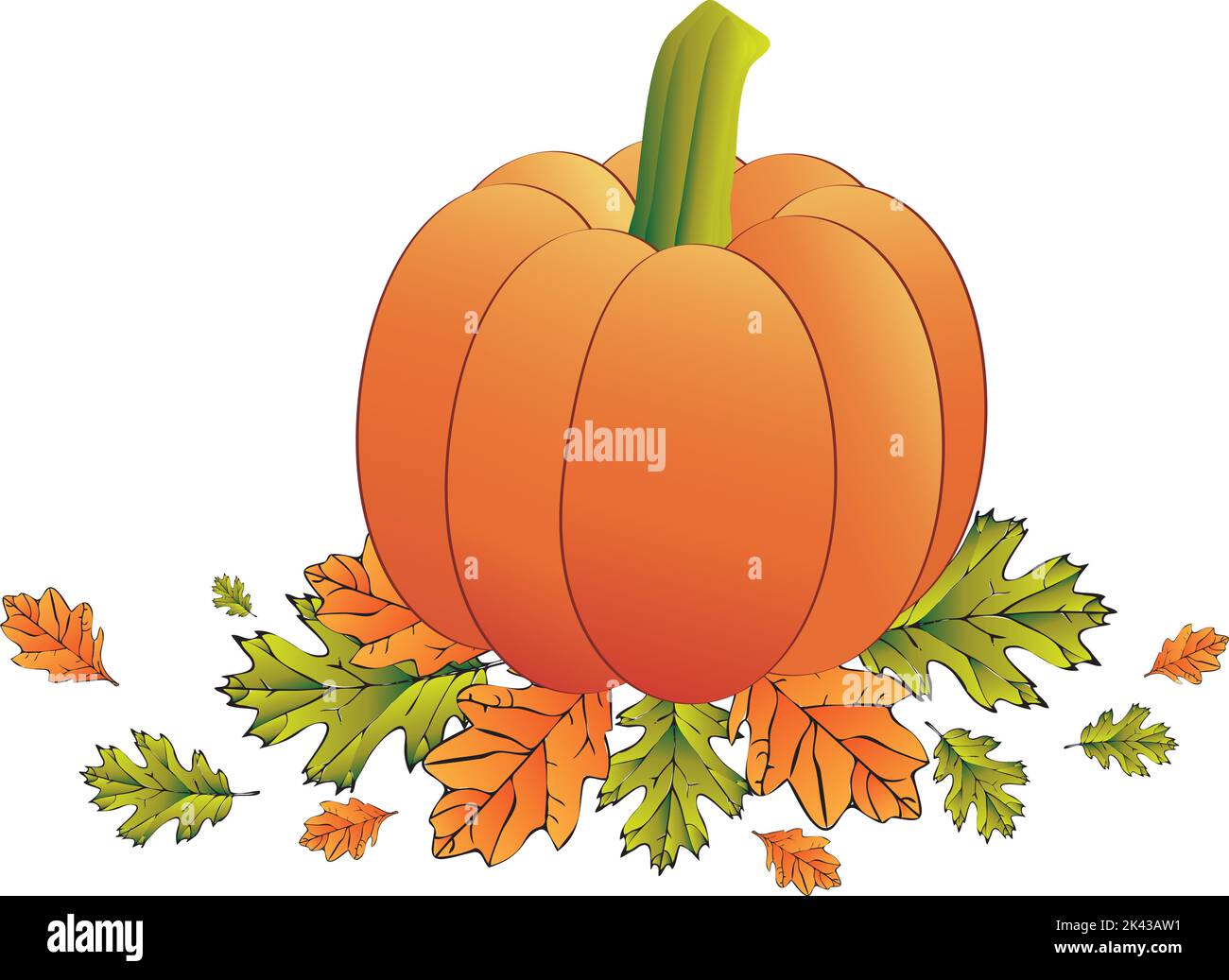 Fall leaves and pumpkin on ground Stock Vector