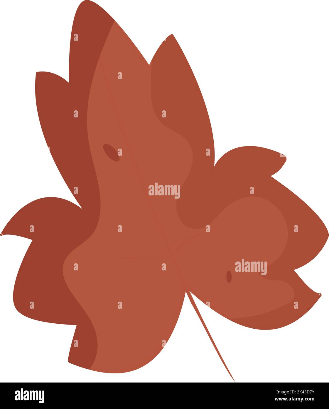 Isolated colored autumn leaf icon Vector Stock Vector Image & Art - Alamy