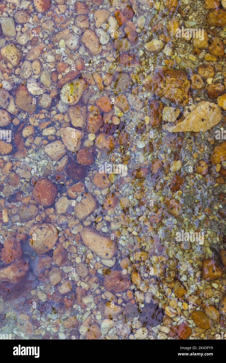 Overhead close up view of multiple brown pebbles and green calm water ...