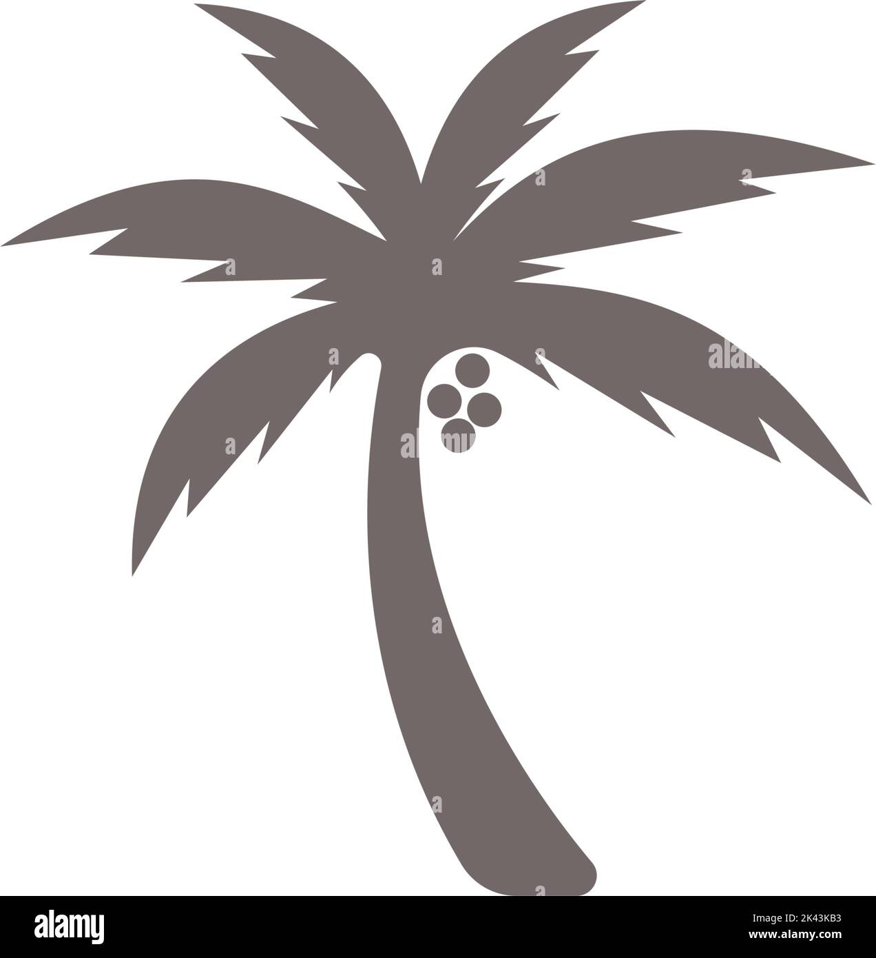 Coconut tree vector vectors hi-res stock photography and images - Alamy