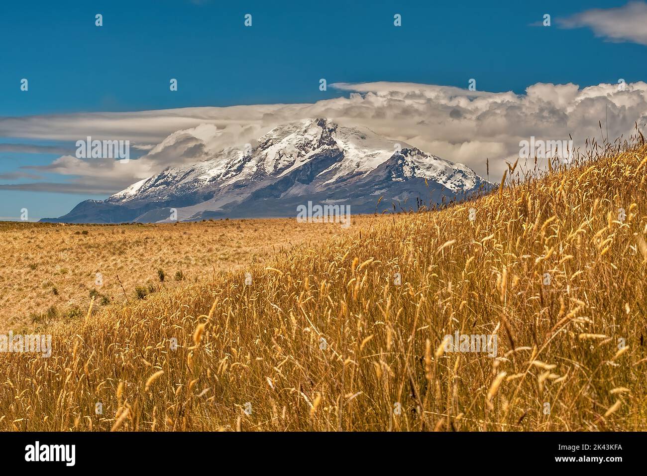 Paramo is the ecosystem above the continuous forest line yet below the permanent snowline. This vegetation is scattered along the crests of the highes Stock Photo