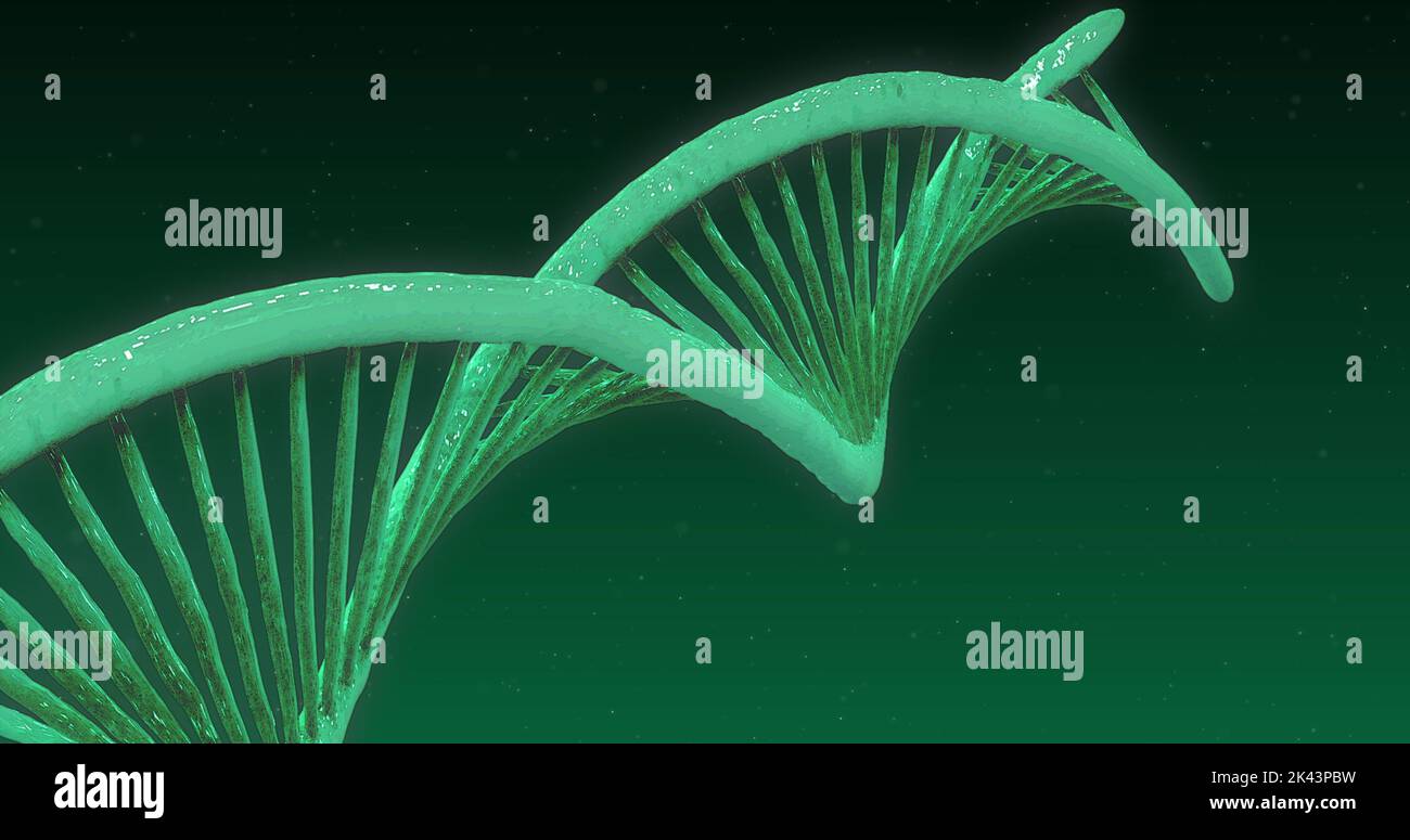 Image of green glowing 3D double helix DNA strand spinning on green ...