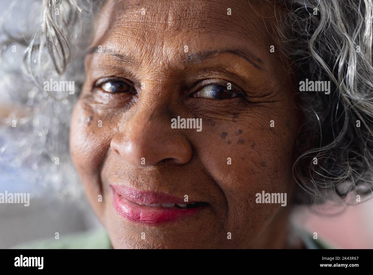 Portrait of happy senior african american women in the sunny living ...