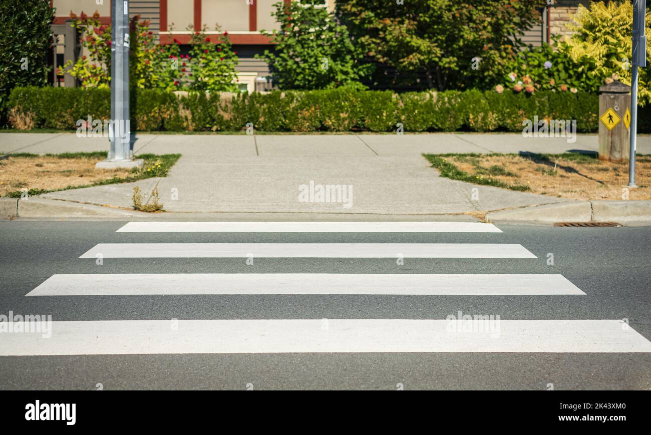 Zebra crossing. Zebra traffic walk way on a street. Pedestrian crossing ...