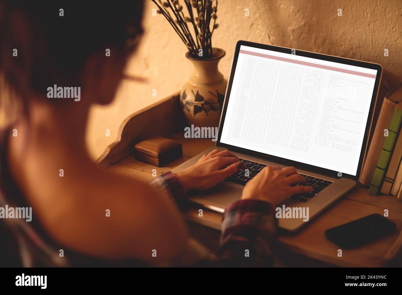 Back view of caucasian female programmer sitting at desk, using laptop ...