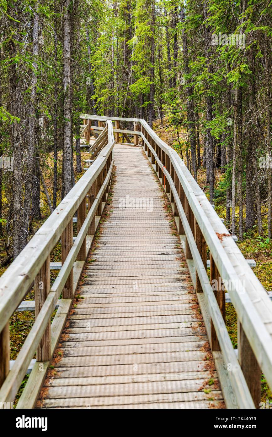Boardwalk; Rancheria Falls Recreation Site; Yukon Territories; Canada Stock Photo