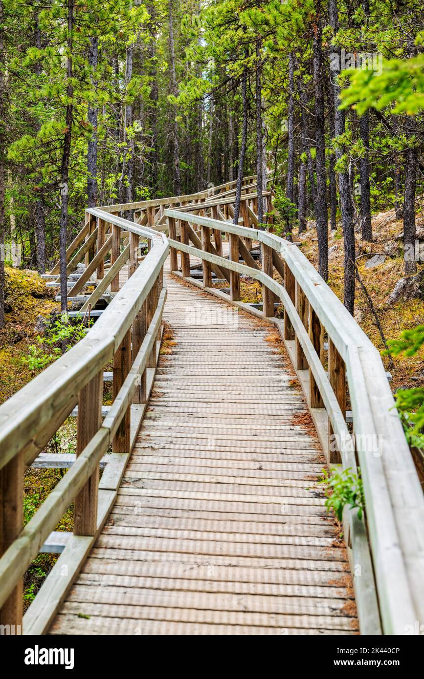 Boardwalk; Rancheria Falls Recreation Site; Yukon Territories; Canada Stock Photo
