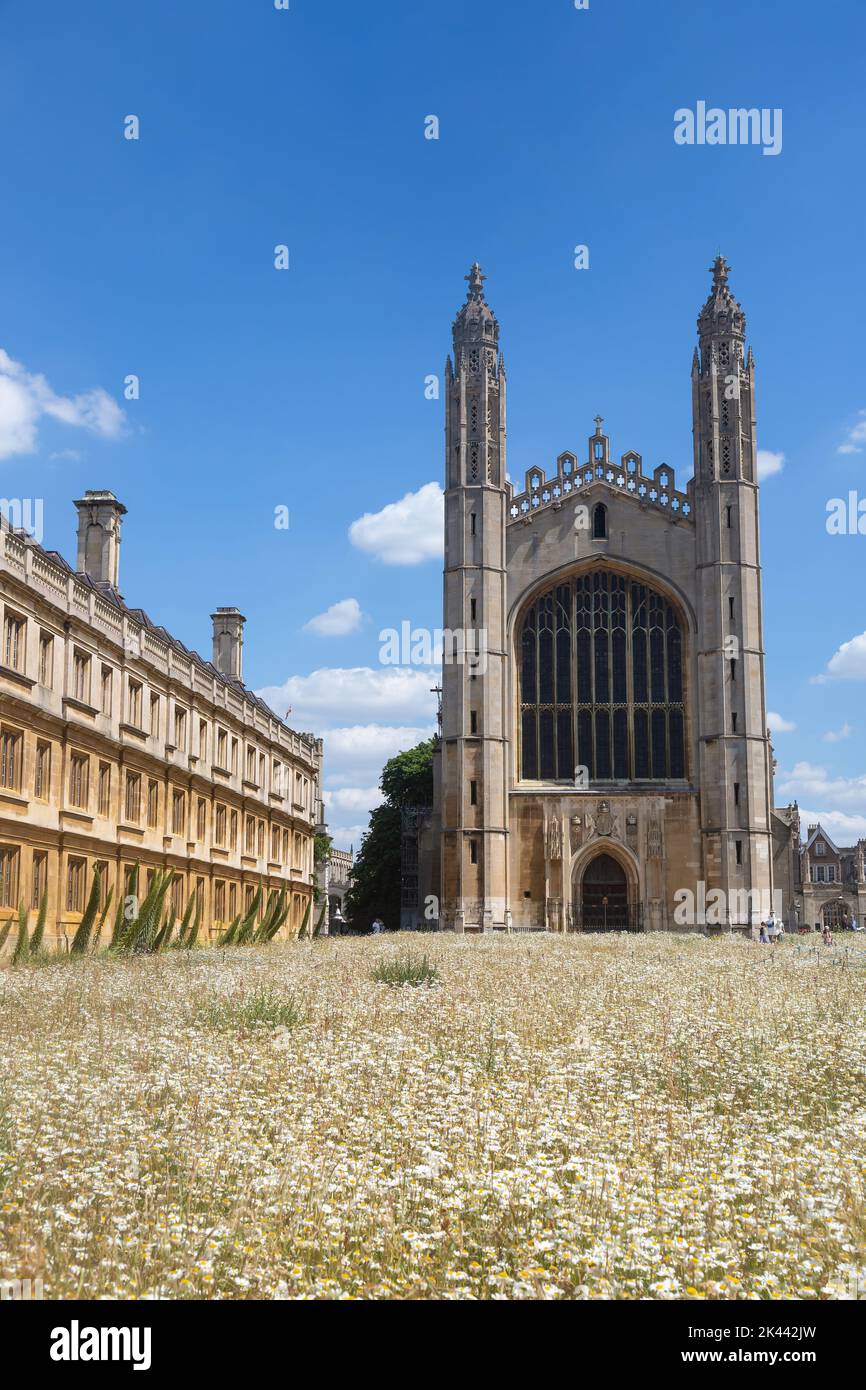 Kings College Chapel, with blooming wildflowers during the summer, Cambridge, UK. 22/6/22 Stock Photo