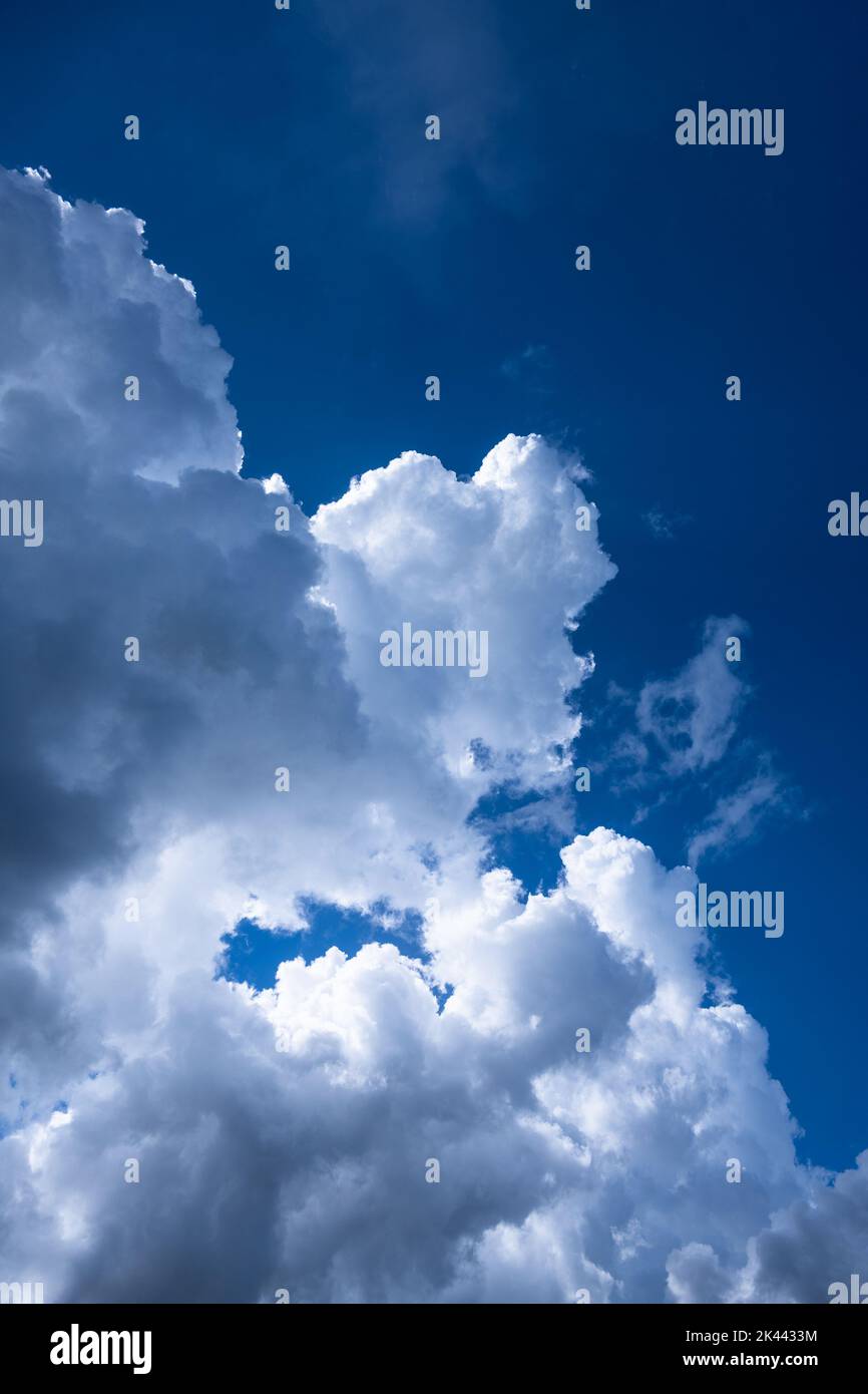 Puffy cumulus clouds against blue sky Stock Photo