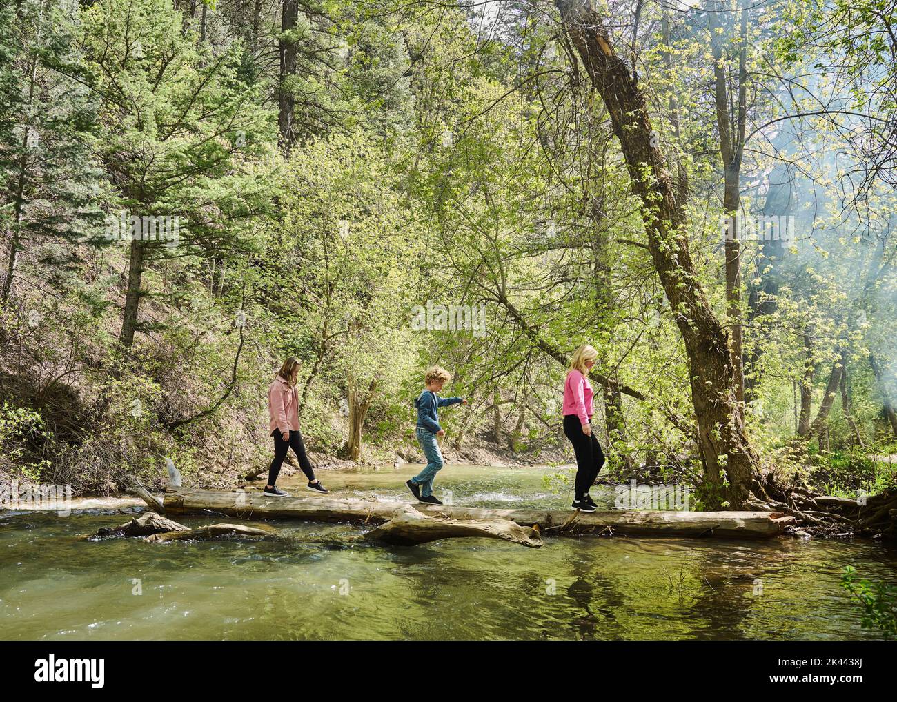 Walking children 12 years hi-res stock photography and images - Alamy