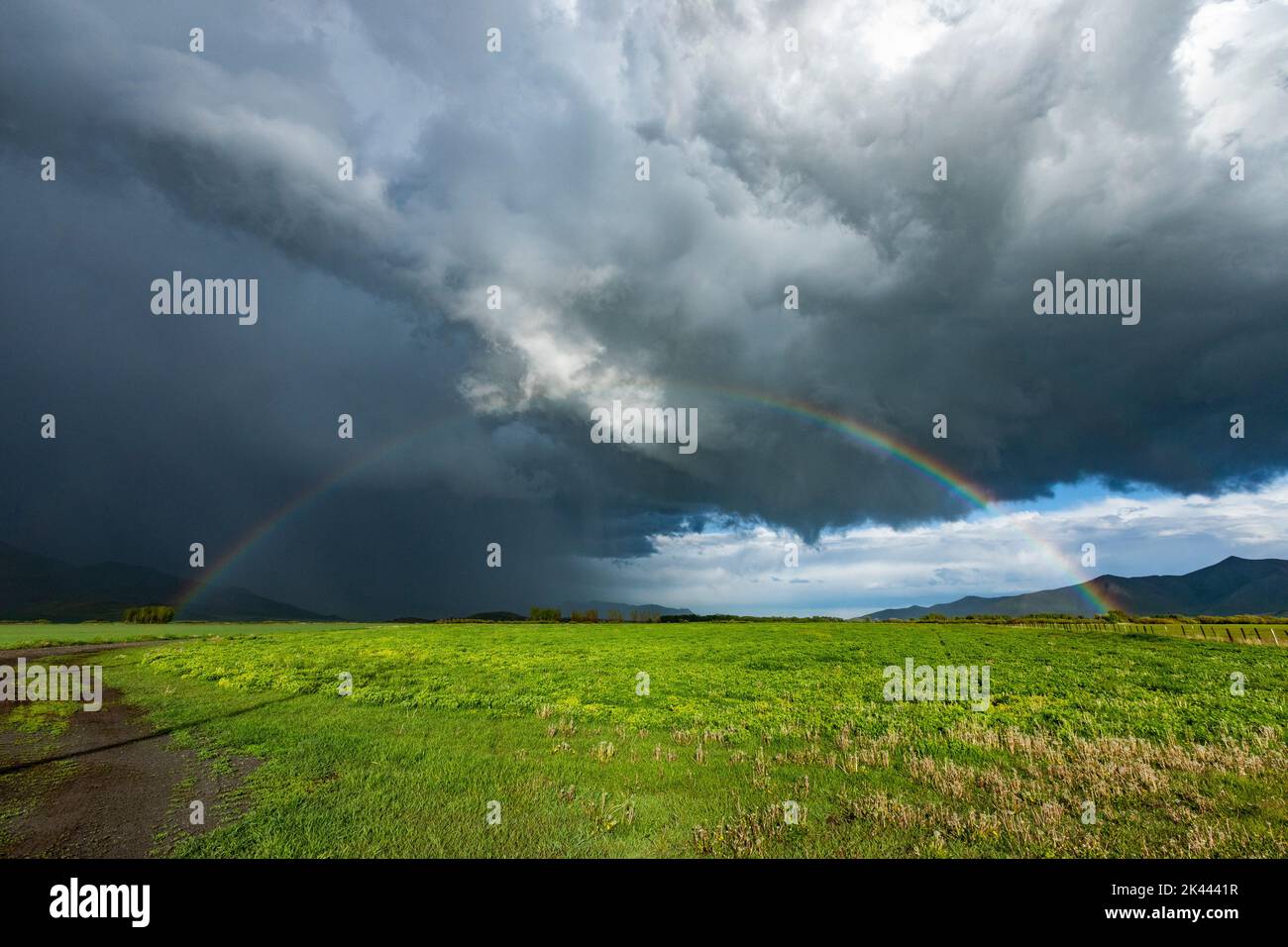 Usa, Idaho, Bellevue, Rainbow and storm clouds over green field near Sun Valley Stock Photo