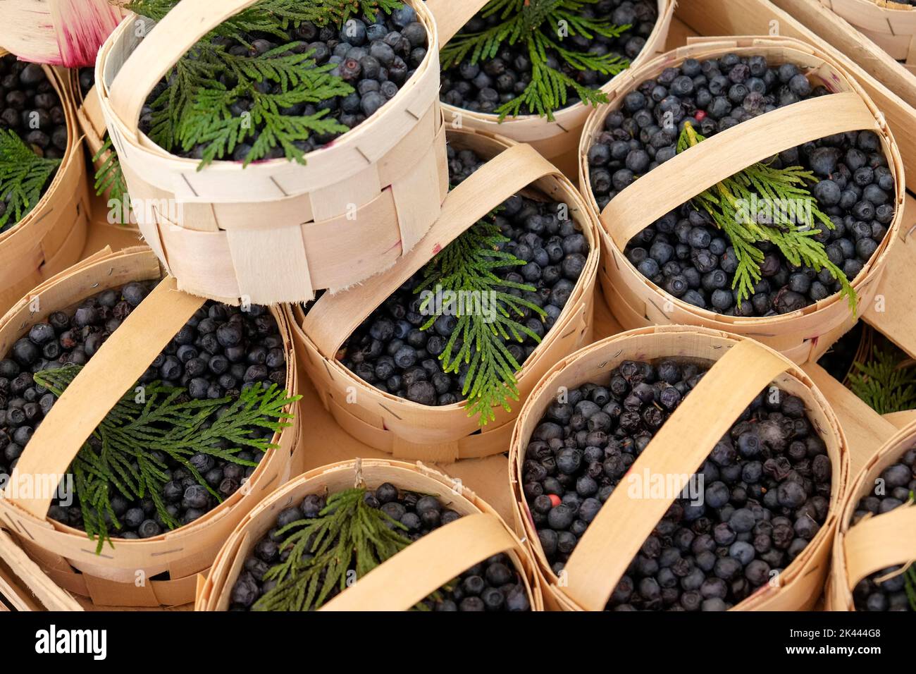 Munich, Germany, Europe. Farmers market. Wild bluberries Stock Photo