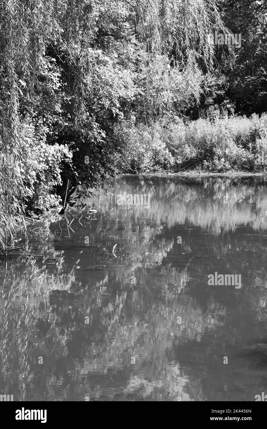 Delightful view Black and White Stock Photos & Images - Alamy
