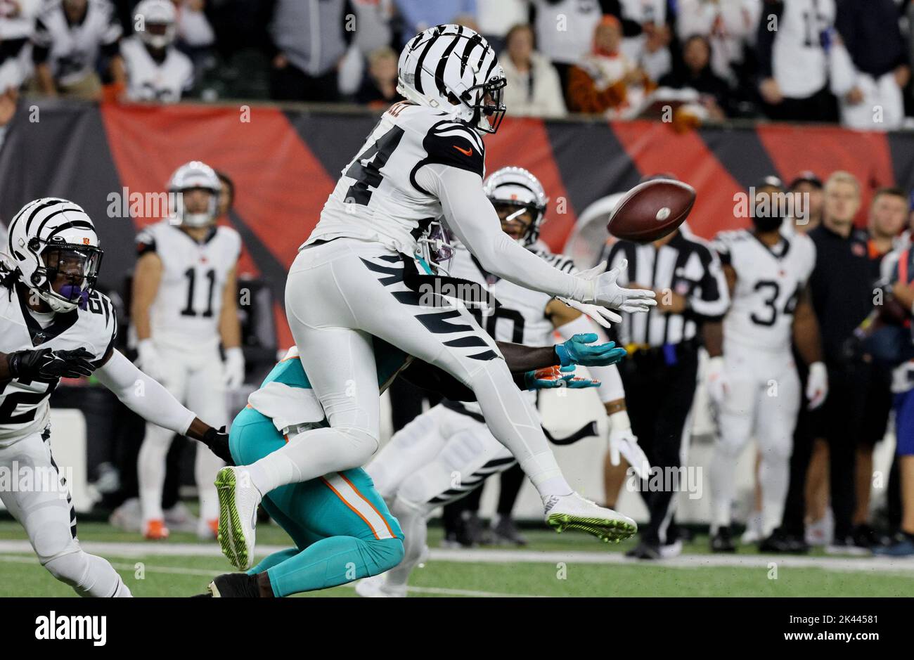 Cincinnati, United States. 29th Sep, 2022. Cincinnati Bengals Vonn Bell (24) catches the interception from Miami Dolphins quarter back Tua Tagovailoa (1) during the first half of play at Paycor Stadium, Thursday, September 29, 2022 in Cincinnati, Ohio. Photo by John Sommers II/UPI Credit: UPI/Alamy Live News Stock Photo