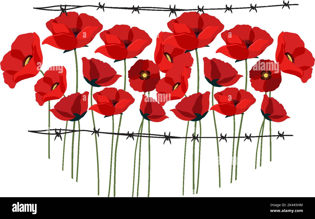 Poppy flowers with spikes fence illustration Stock Vector Image & Art ...