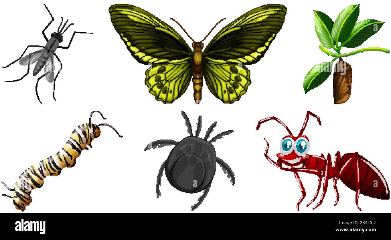 Two Different Insects Set of different kinds of insects illustration Stock Vector Image & Art ...