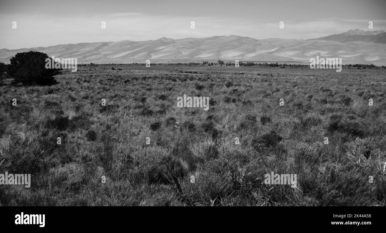 Great sand dunes national park Black and White Stock Photos & Images ...
