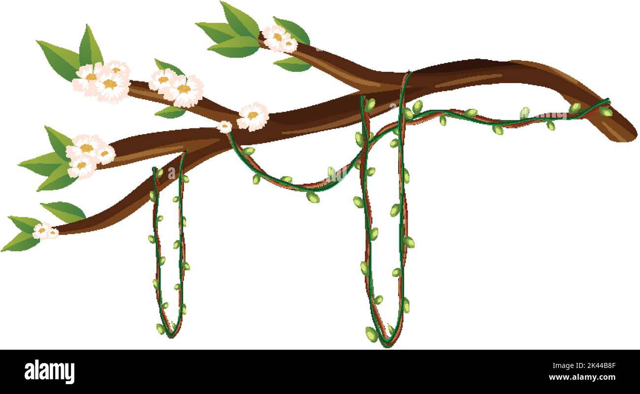 Cherry blossom branch isolated illustration Stock Vector Image & Art ...