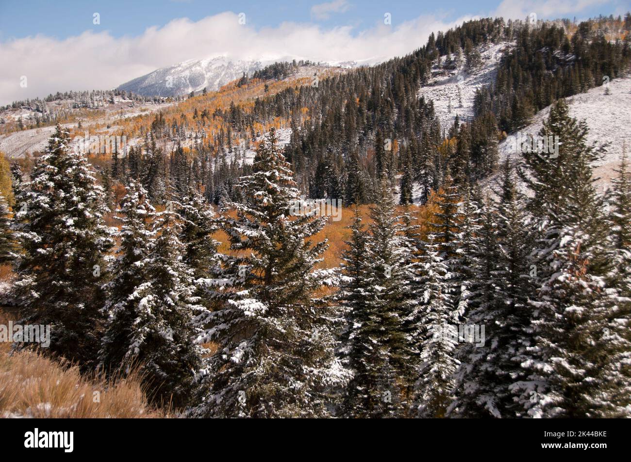 Fall colors in the Rocky Mountains Stock Photo - Alamy