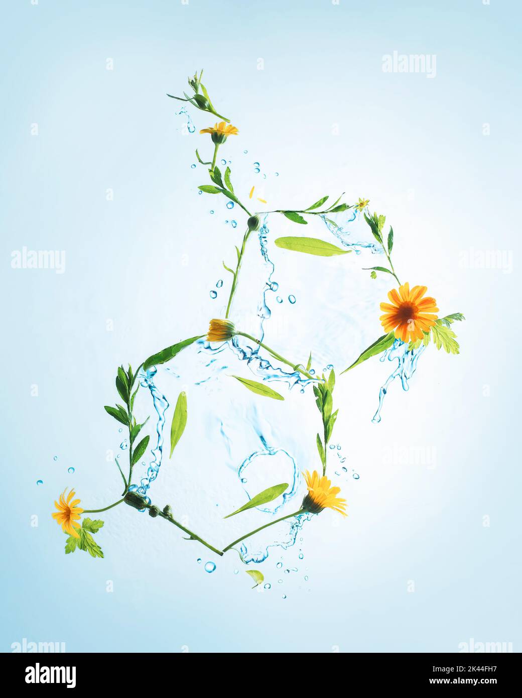 Serotonin molecule from flowers and splashes of water, joy of summer concept Stock Photo