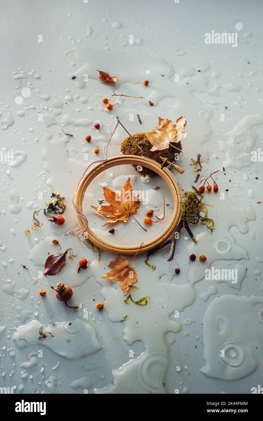Autumn hobby, hoop and needle for embroidery with raindrops and leaves, rainy day concept Stock Photo