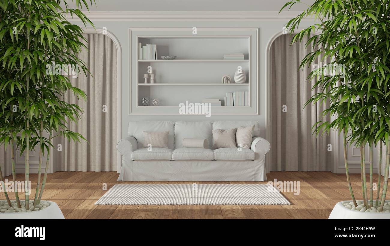 Zen interior with potted bamboo plant, natural interior design concept ...