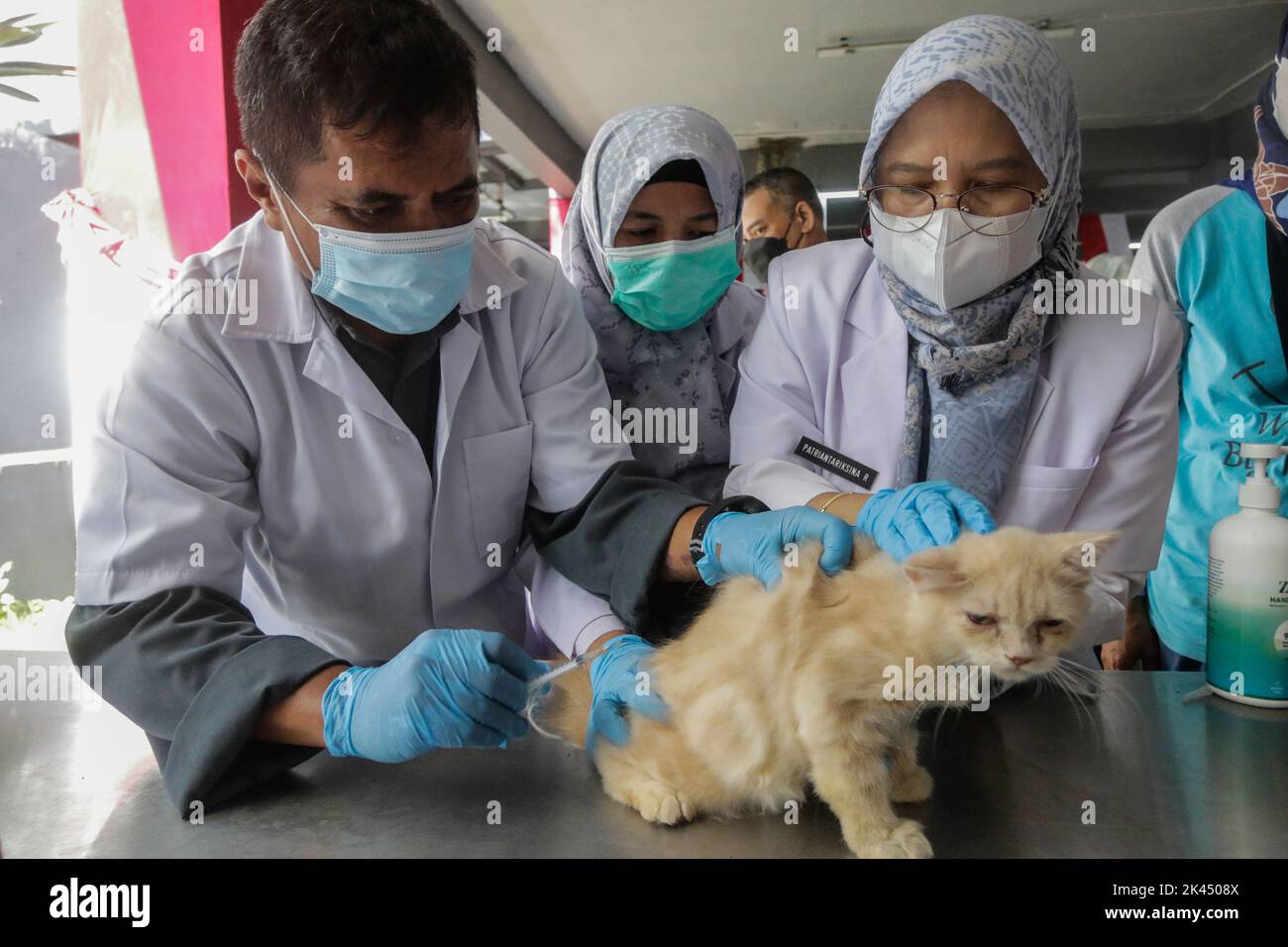 What Is Dog Rabies Vaccine Called