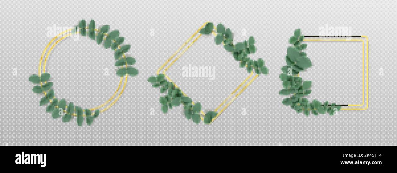 Golden frames with eucalyptus leaves isolated on transparent background ...