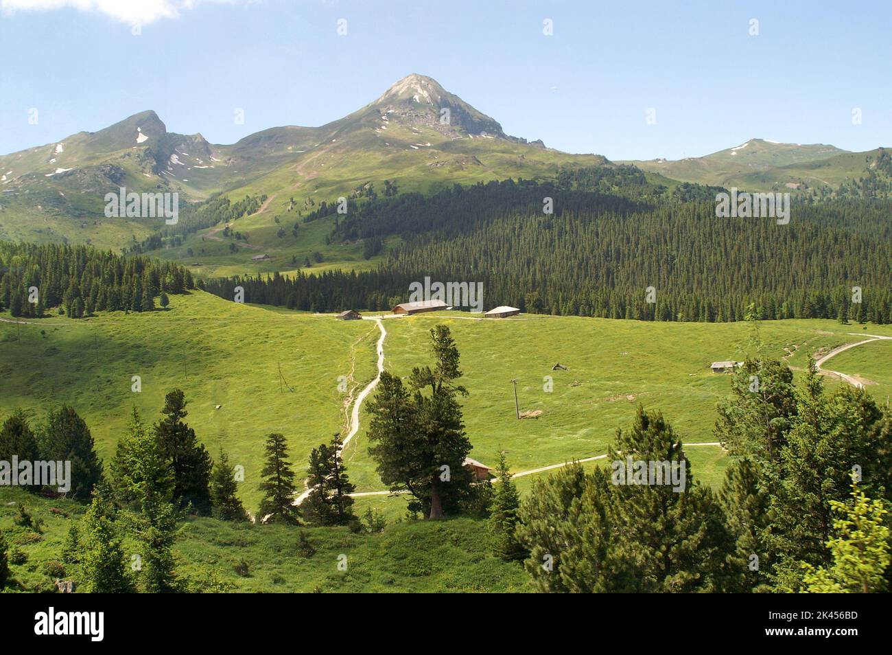 Fresh green grass with bright blue sky - Stock Image Stock Photo - Alamy
