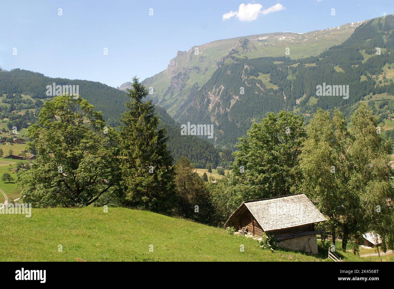 Fresh green grass with bright blue sky - Stock Image Stock Photo - Alamy
