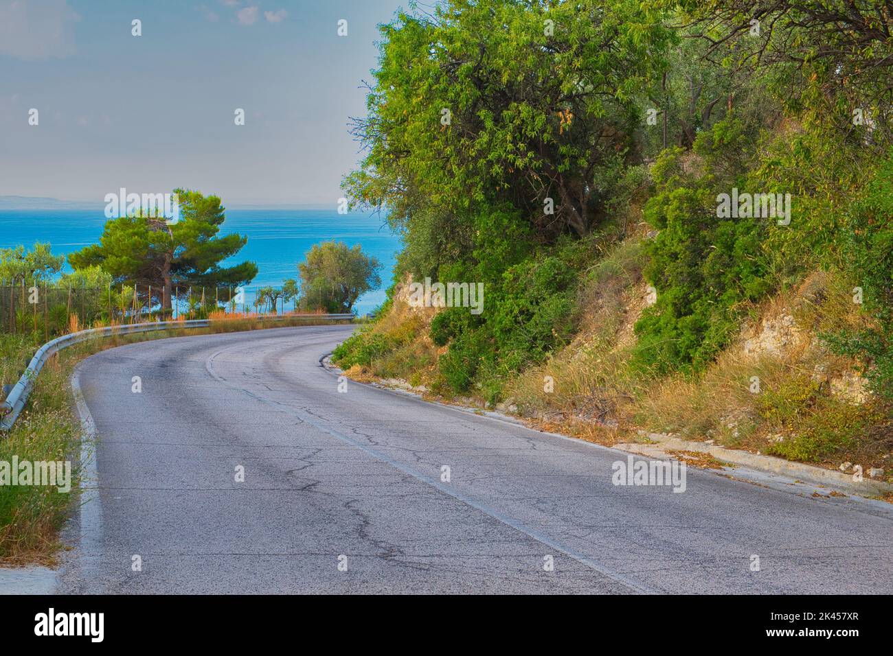 An aerial view of road surrounded by dense trees in Italy Stock Photo ...