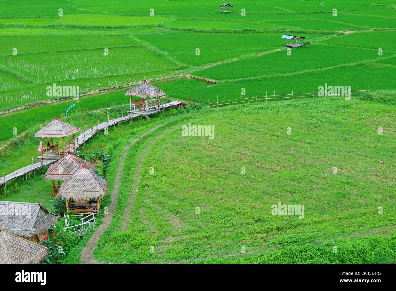 Vibrant green paddy field with group of rustic style pavilions in Norther Region of Thailand Stock Photo