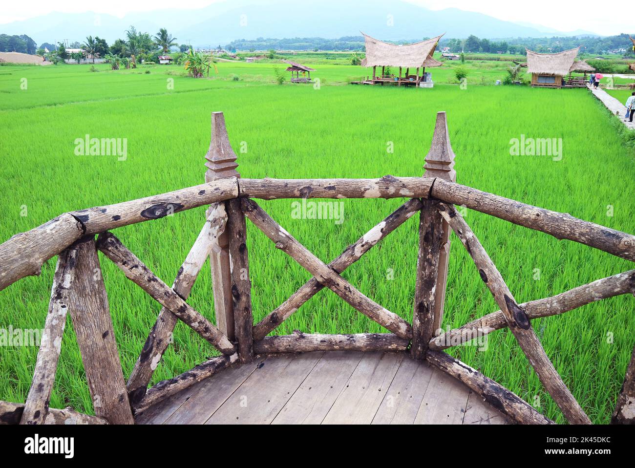 Wooden viewing terrace on the vibrant green paddy field, Thailand Stock Photo