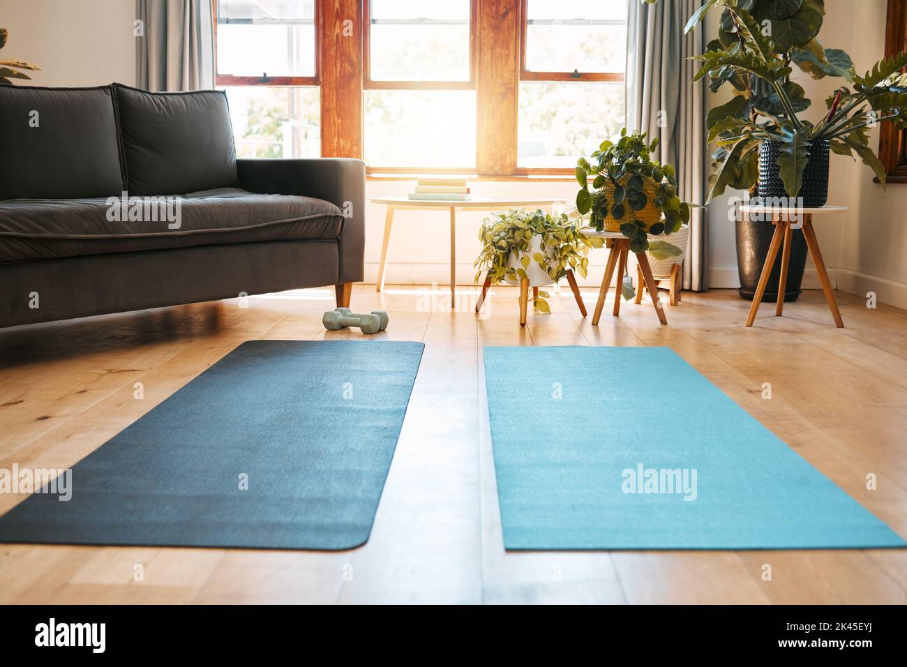 Yoga mat, home workout and empty space background in house for exercise