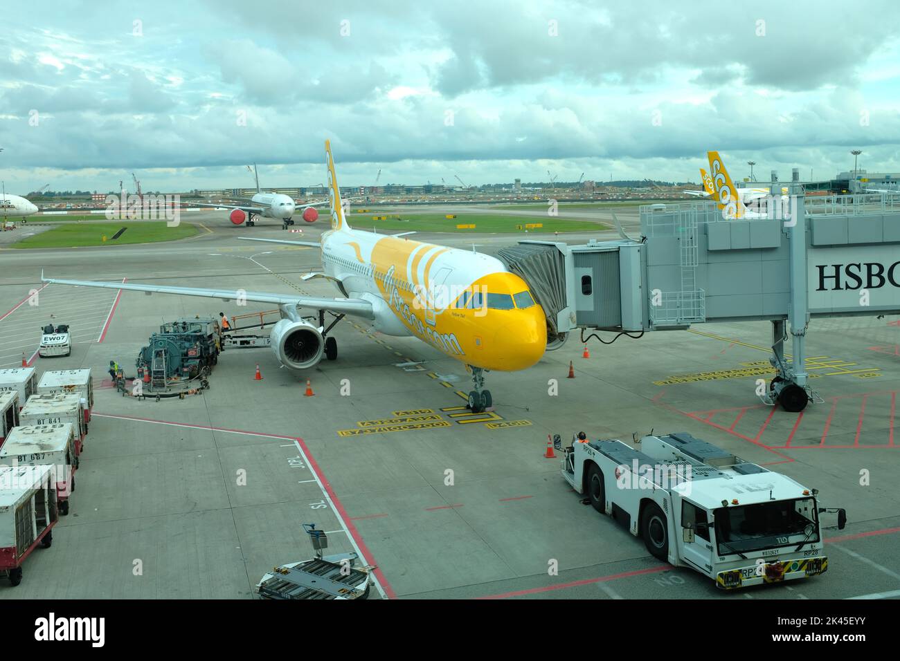 A Scoot aircraft on the gate at Changi airport, Singapore Stock Photo