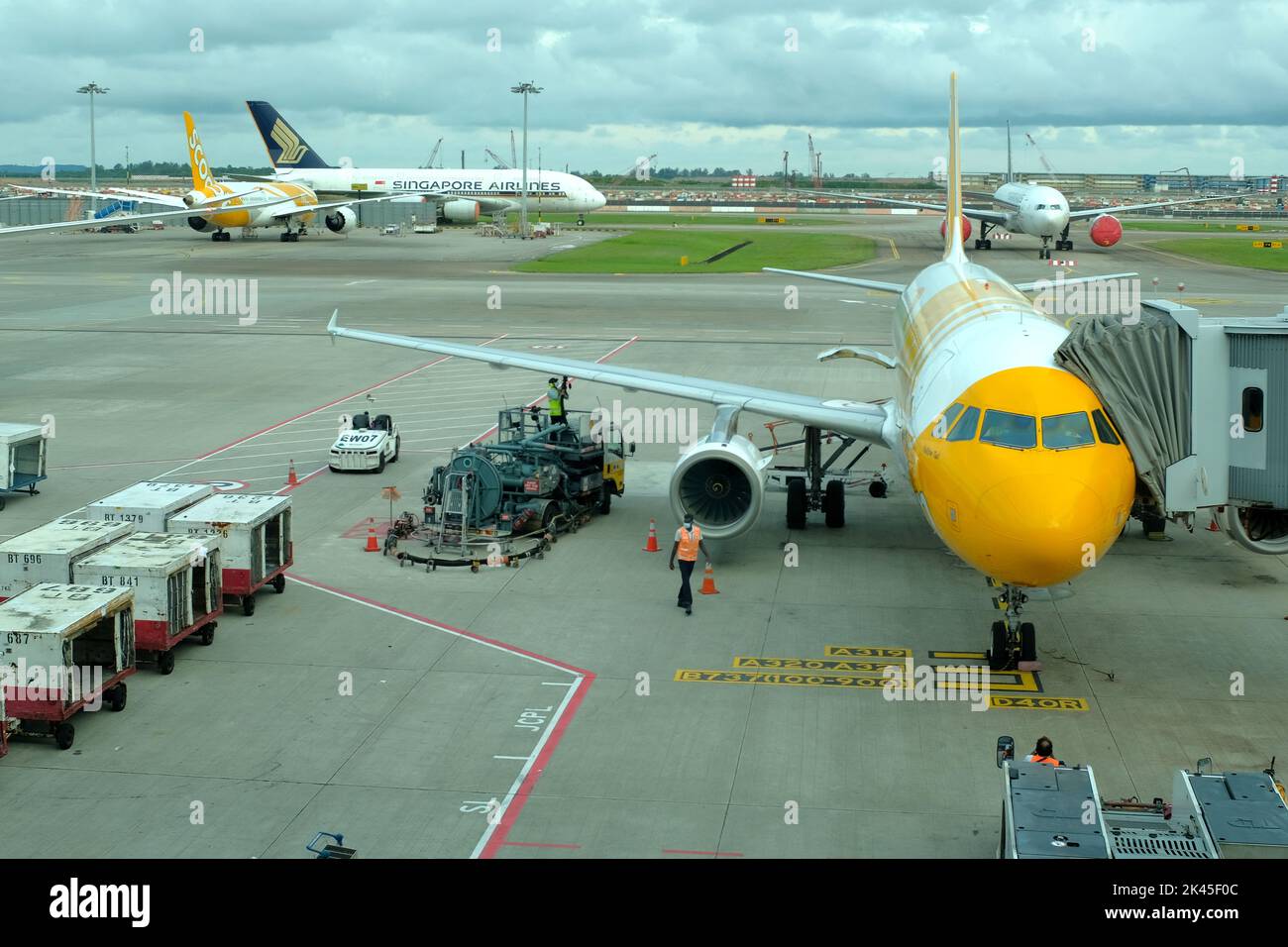 A Scoot aircraft on the gate at Changi airport, Singapore Stock Photo
