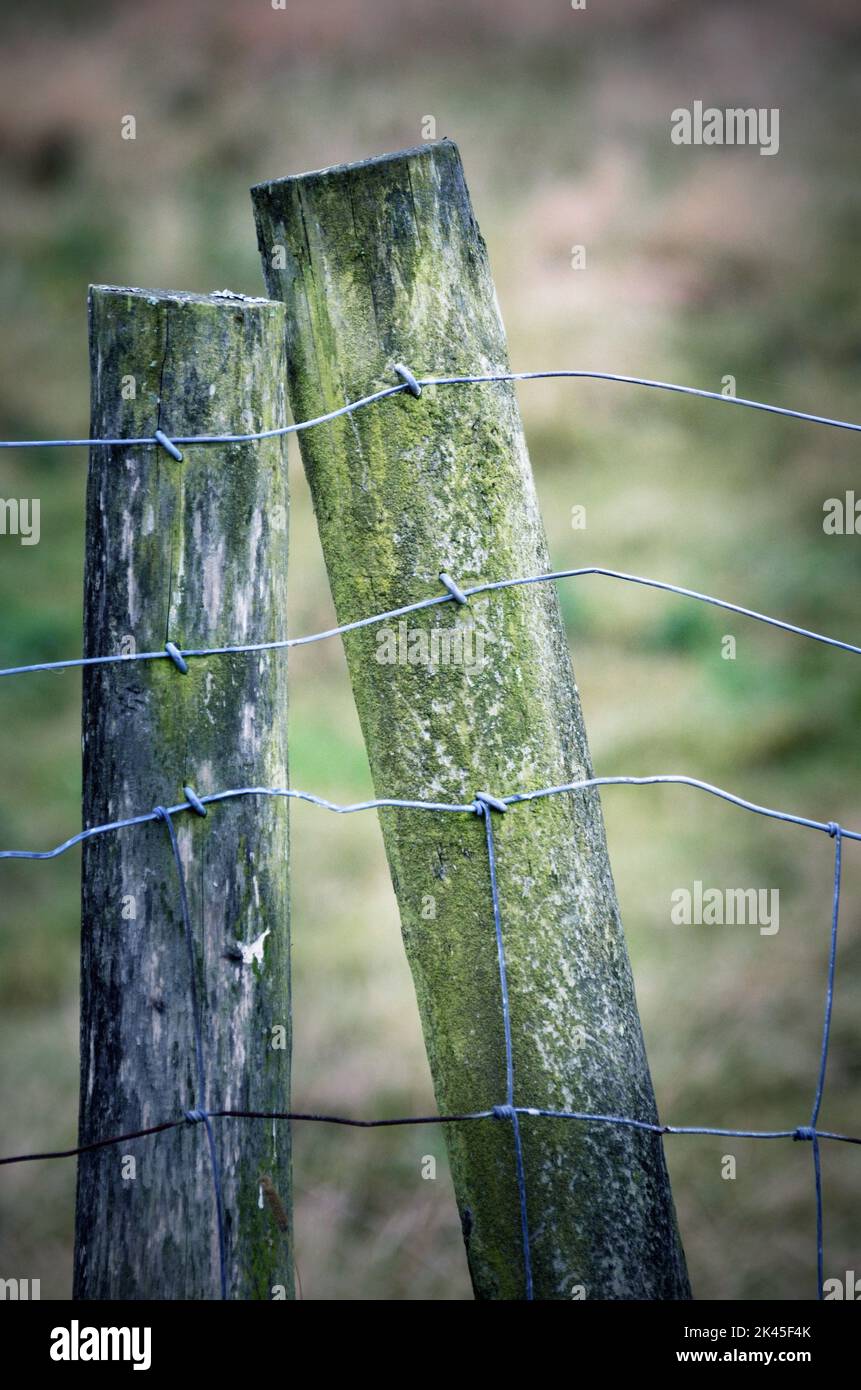 galvanised wire fencing wire and wooden posts Stock Photo