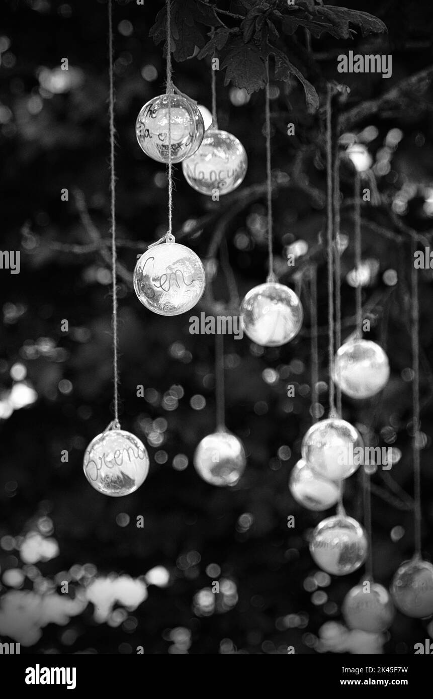 glass balls hanging from tree branches Stock Photo