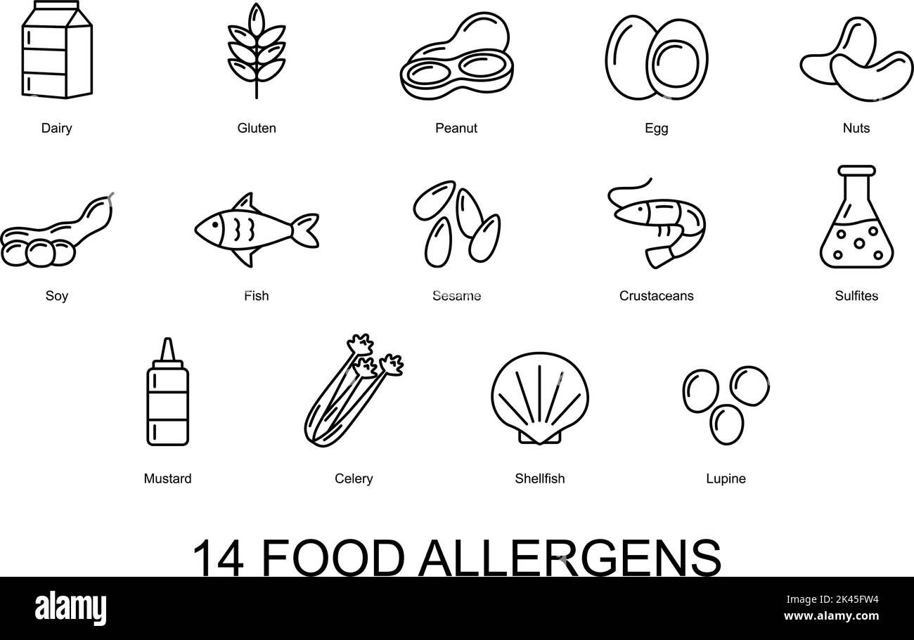 14 food allergens. Set of basic allergens icons. Vector illustration
