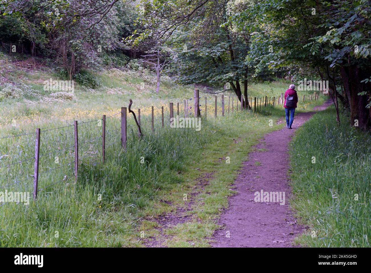 solitary woman walking alone on isolated country footpath stirling sterlingshire scotland Stock Photo